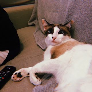 Como eu me sinto depois de tentar maratonar #BlackMirror na @netflixbrasil 😂😂 Crítica da série com e sem spoilers já está no ar, além de comentários separadinhos por episódio! Clica no link na bio ou digita aê: YouTube.com/FernandaPineda 👯😎 #dicasdeseries #netflixbrasil