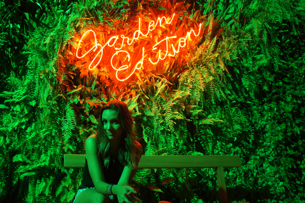 heineken1