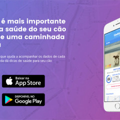 Novo app gamifica e transforma os passeios com o seu cachorro*